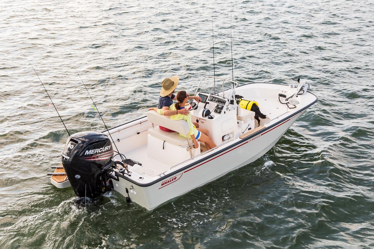 Boston Whaler 170 Montauk · 2027 zu verkaufen – Côte d'Azur — Foto 6