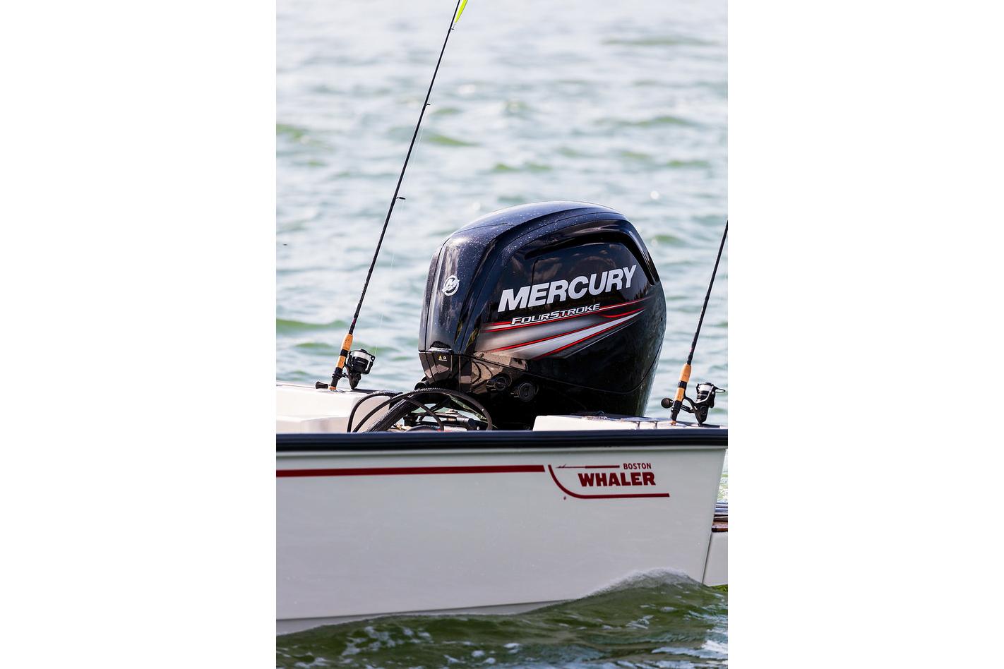 Boston Whaler 170 Montauk · 2027 zu verkaufen – Côte d'Azur — Foto 9