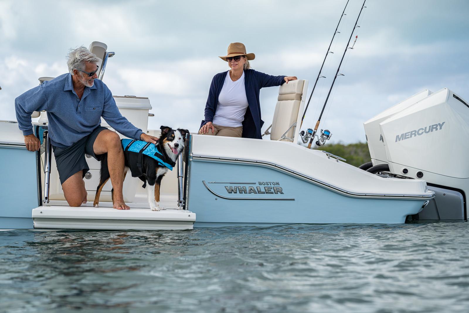 Boston Whaler 280 Dauntless · 2027 zu verkaufen – Côte d'Azur — Foto 4