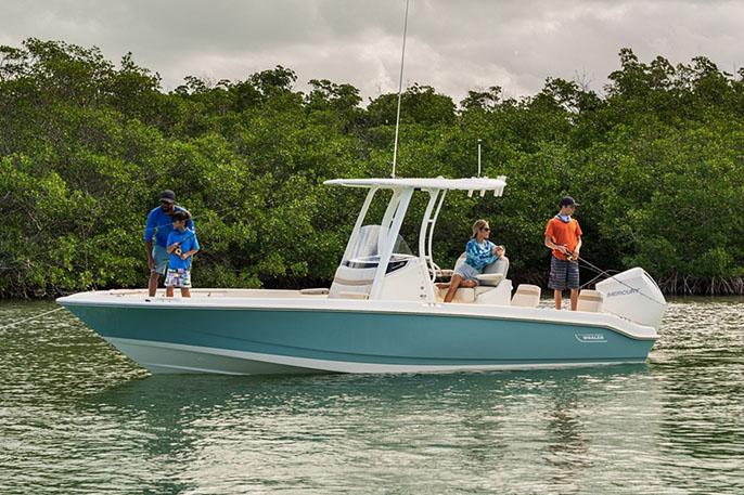Boston Whaler 250 Dauntless · 2027 en venta en Costa Azul — foto 4