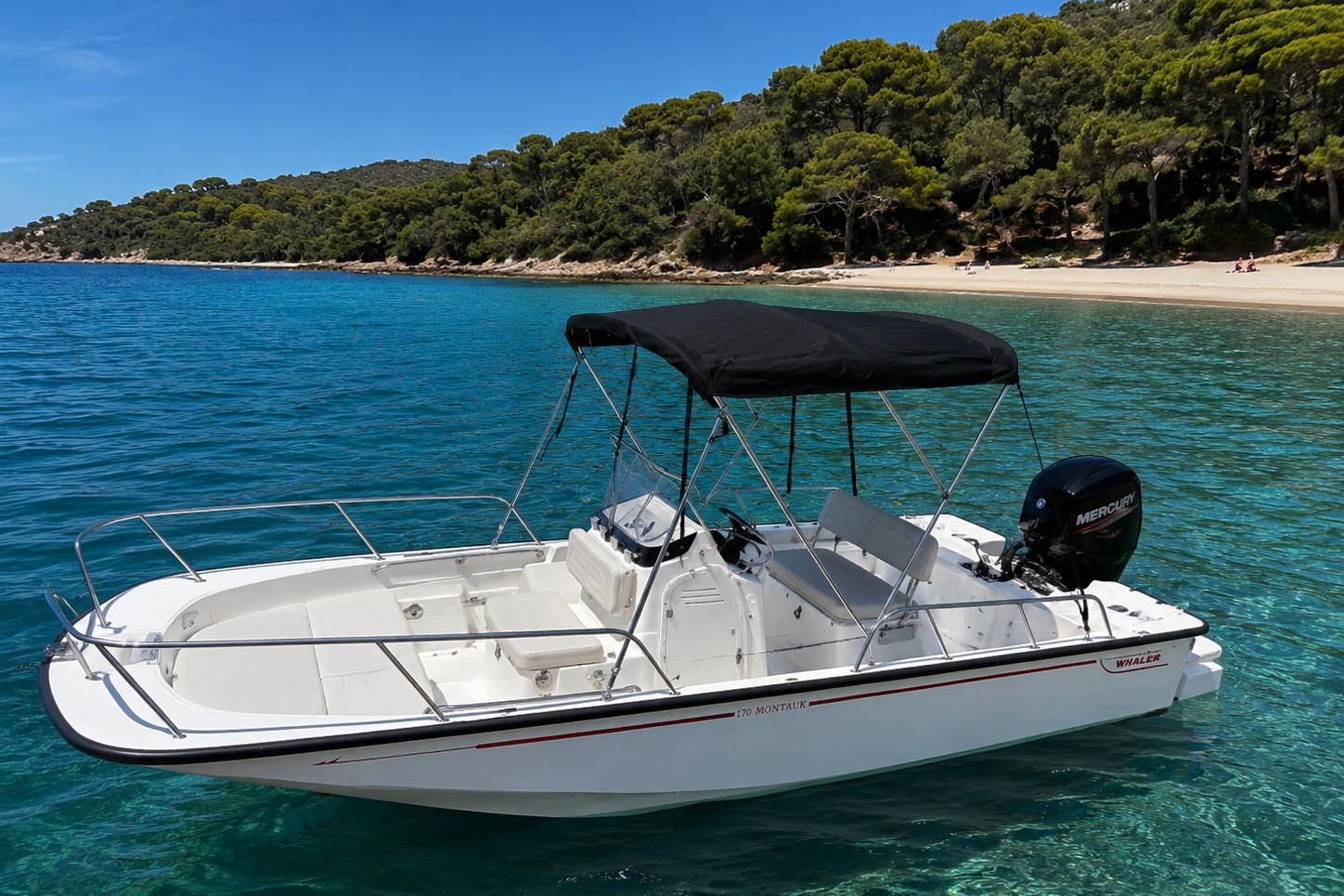 Boston Whaler 170 Montauk · 2022 en venta en Costa Azul — foto 1