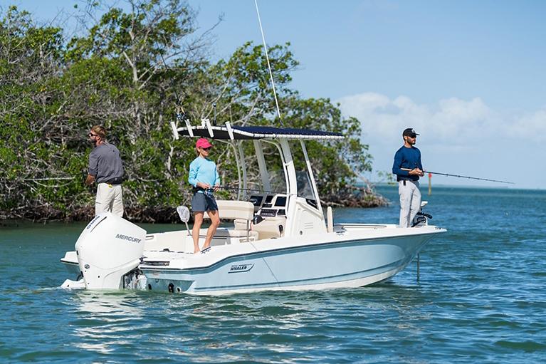 Boston Whaler 220 Dauntless · 2027 en venta en Costa Azul — foto 3