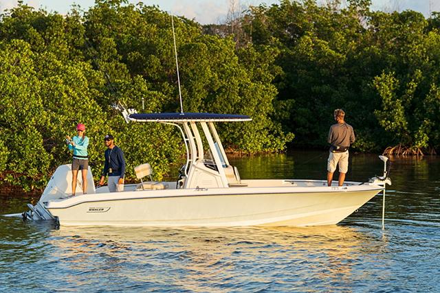 Boston Whaler 220 Dauntless · 2027 en venta en Costa Azul — foto 4