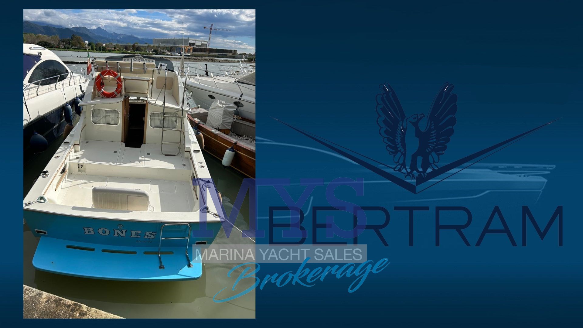 Bertram Yacht 28 Flybridge · 1981 en venta en Liguria y Génova — foto 9