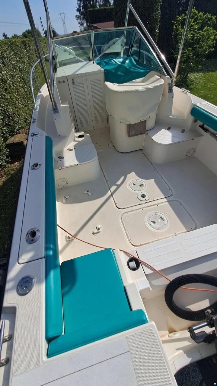 Pursuit 21,50 WA · 1993 à vendre – Toscane (Livourne et Elbe) — photo 6