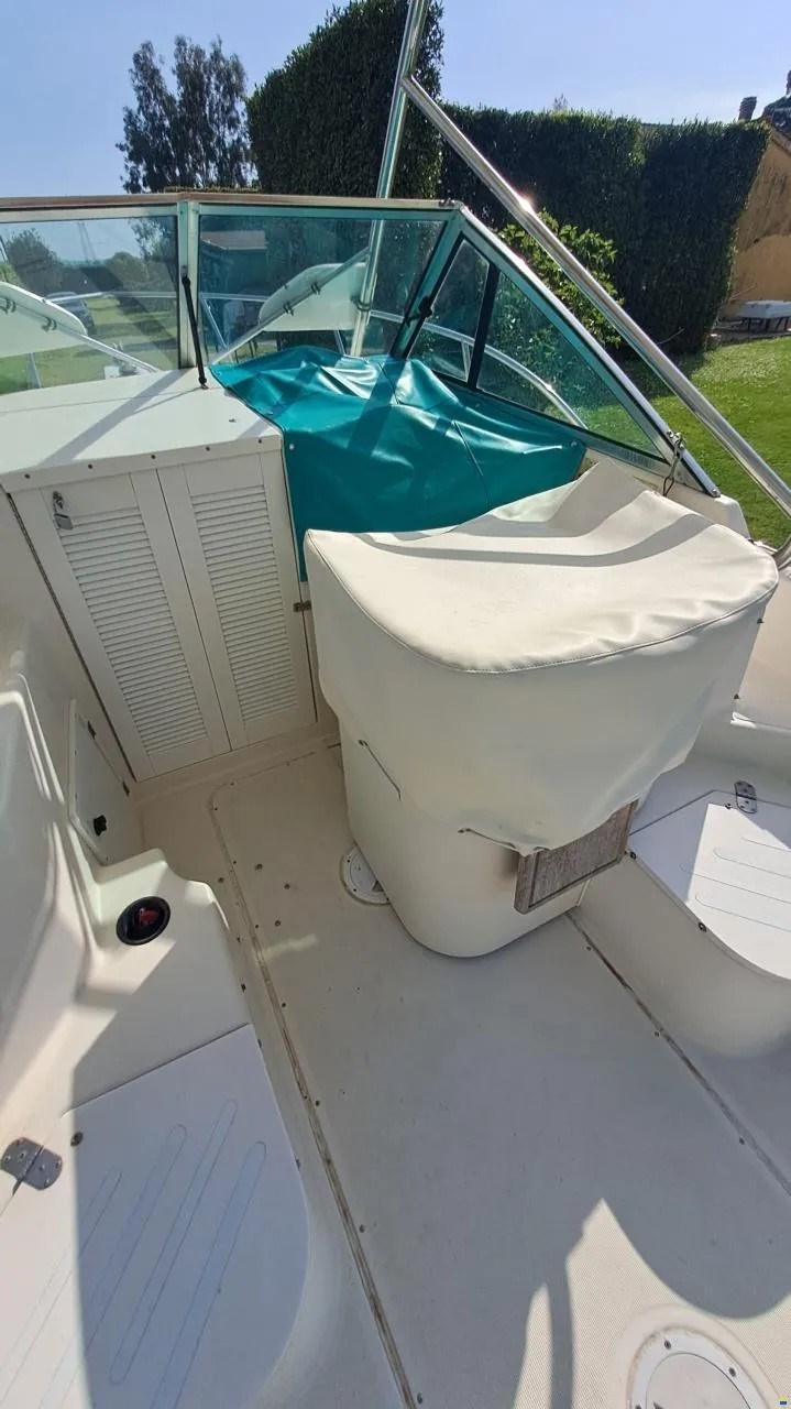 Pursuit 21,50 WA · 1993 à vendre – Toscane (Livourne et Elbe) — photo 7