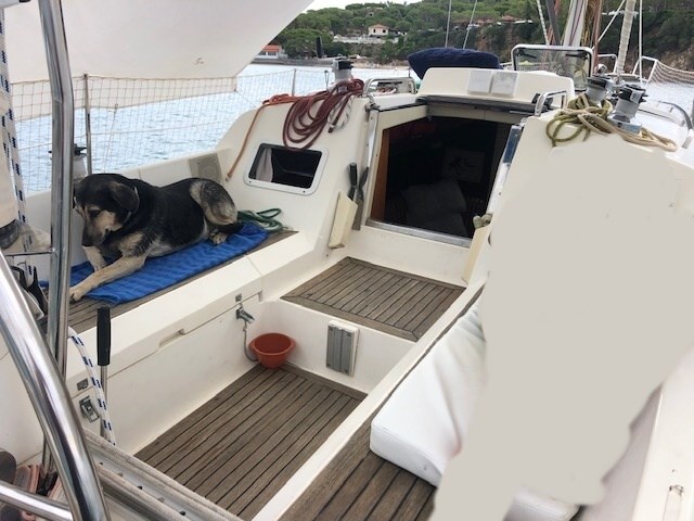 Swan 36 · 1990 zu verkaufen – Toskana (Livorno und Elba) — Foto 7