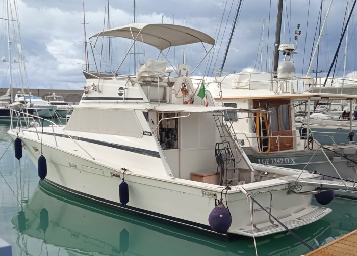Viking Boats Viking 41 · 1980 en venta en Toscana (Livorno y Elba) — foto 1