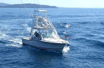 Carolina Boatworks Carolina 28 · 2009 en venta en Toscana (Livorno y Elba) — foto 2