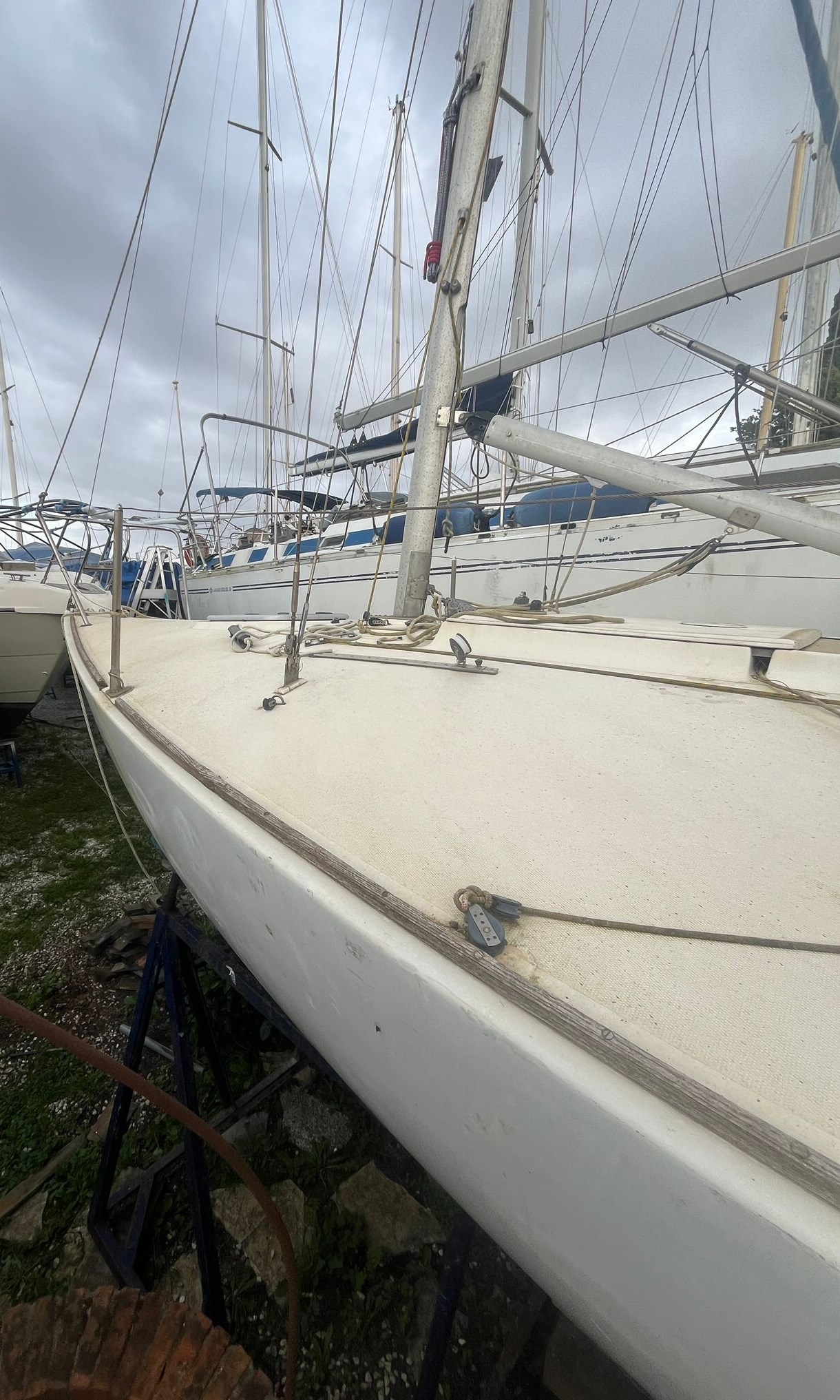 J/Boats J 24 in vendita in Toscana (Livorno ed Elba) — foto 3