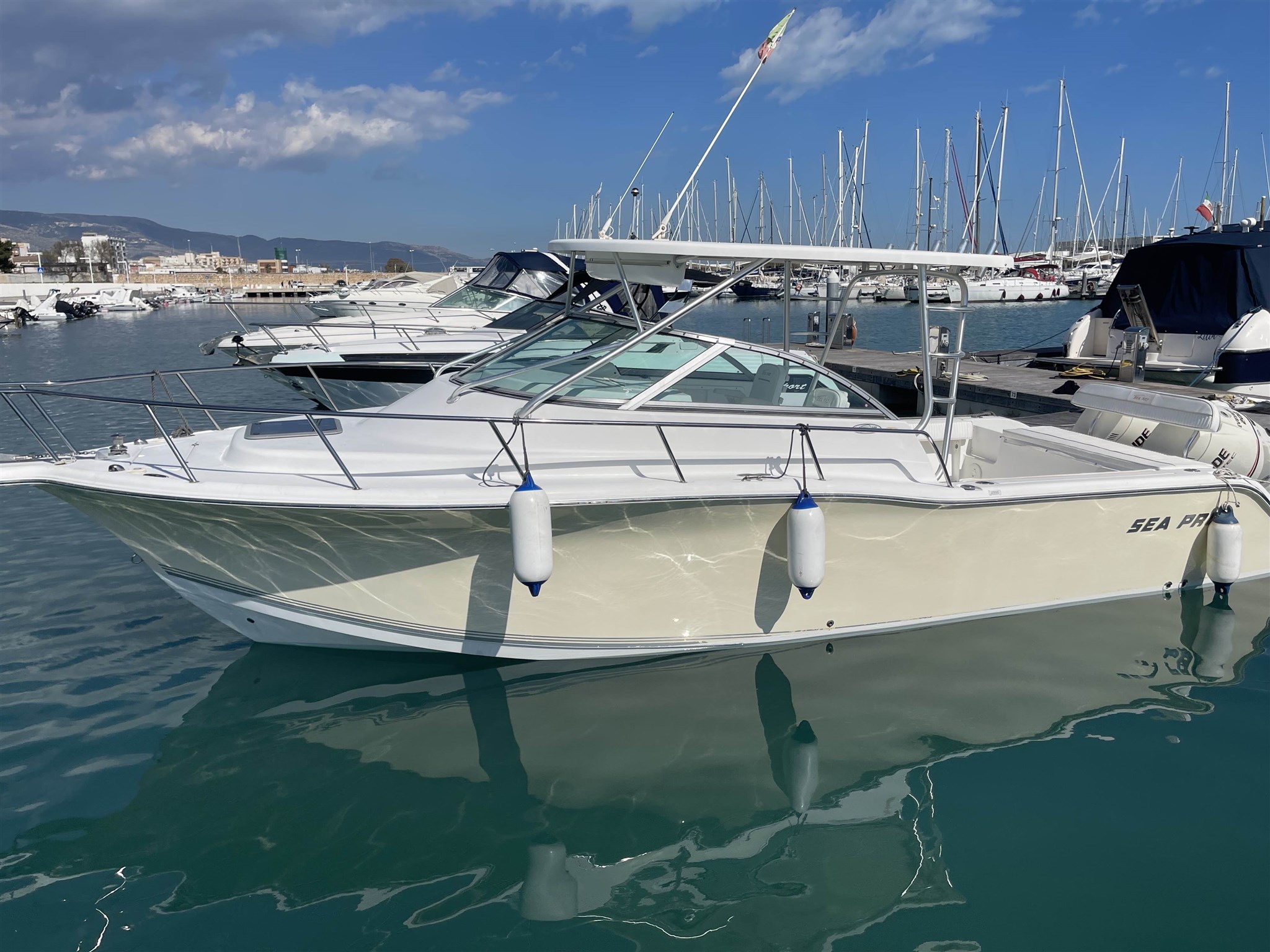 Sea Pro 270 Express Wolkraund · 2008 en venta en Otra zona — foto 1