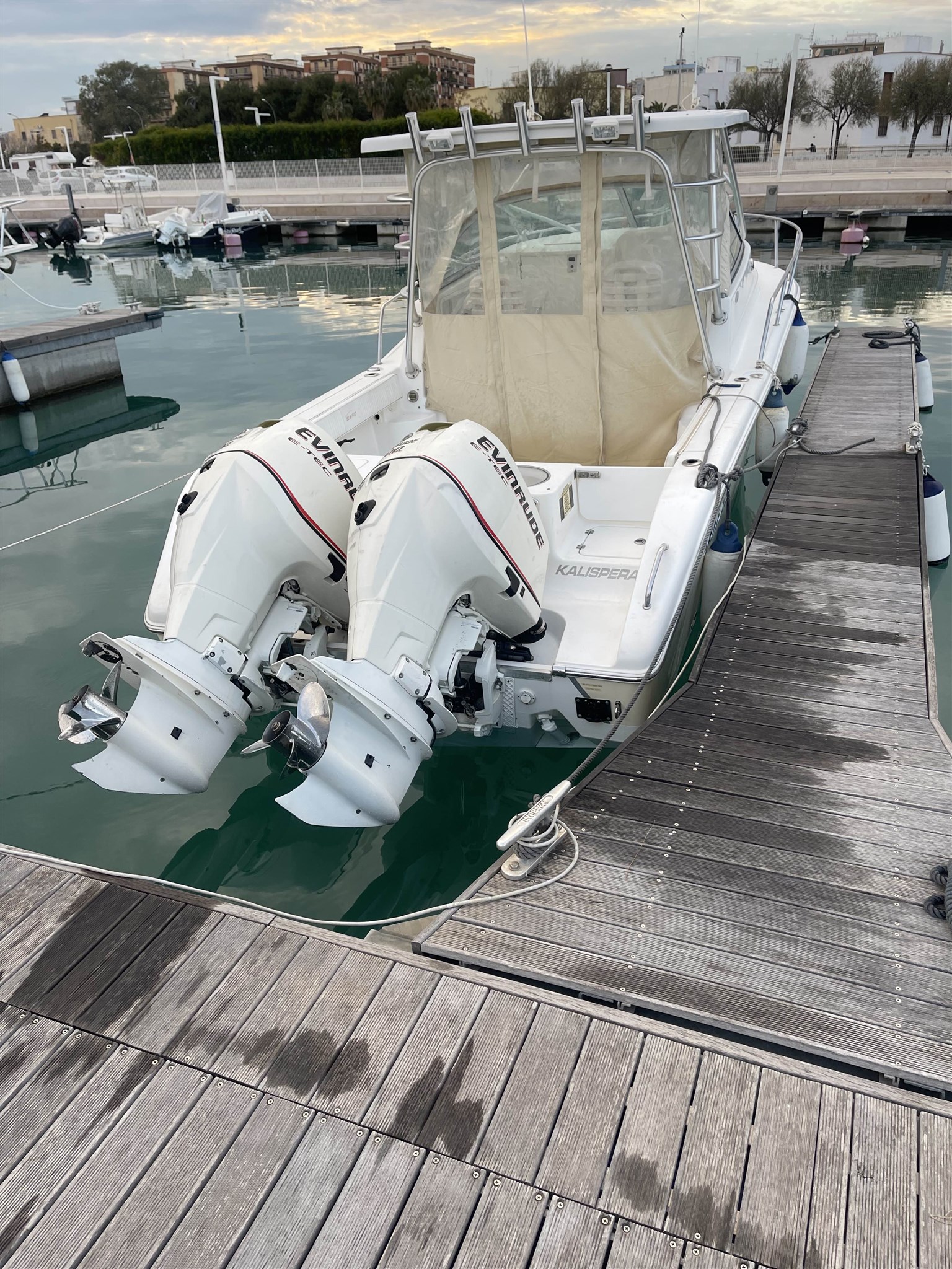 Sea Pro 270 Express Wolkraund · 2008 en venta en Otra zona — foto 3