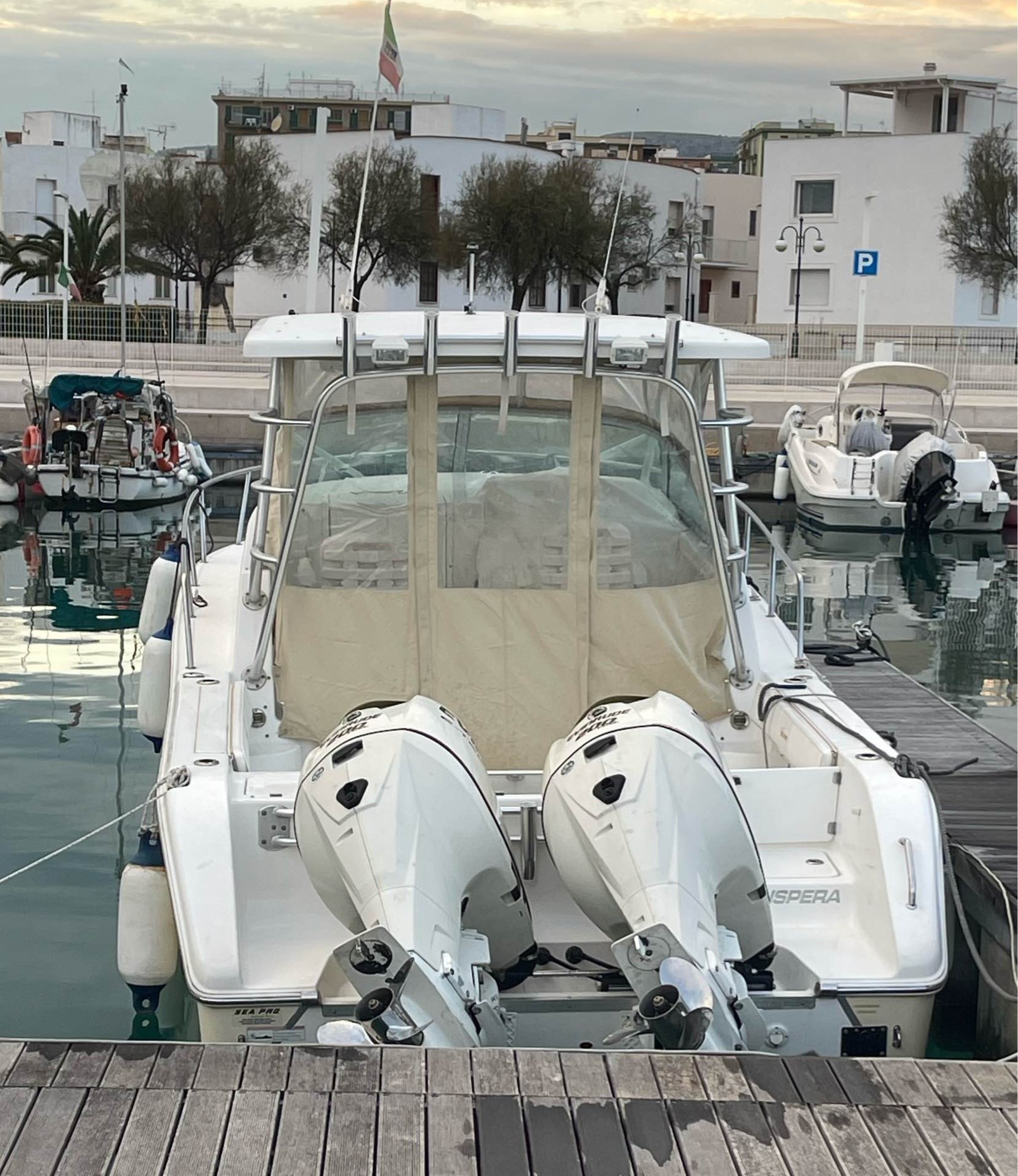 Sea Pro 270 Express Wolkraund · 2008 en venta en Otra zona — foto 4