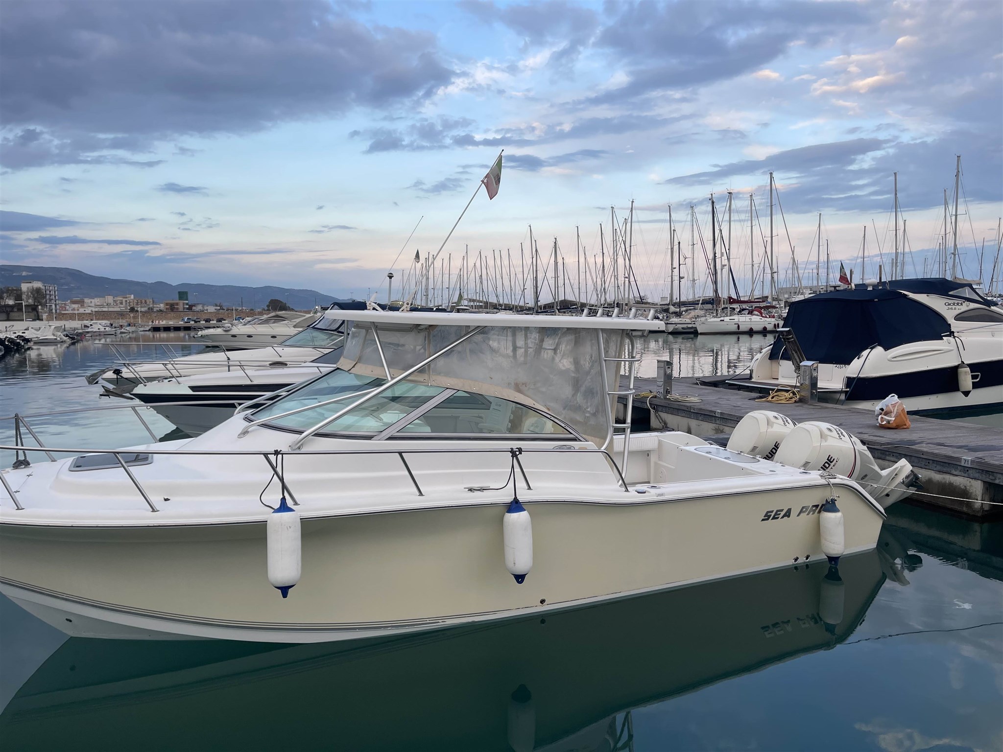 Sea Pro 270 Express Wolkraund · 2008 en venta en Otra zona — foto 5