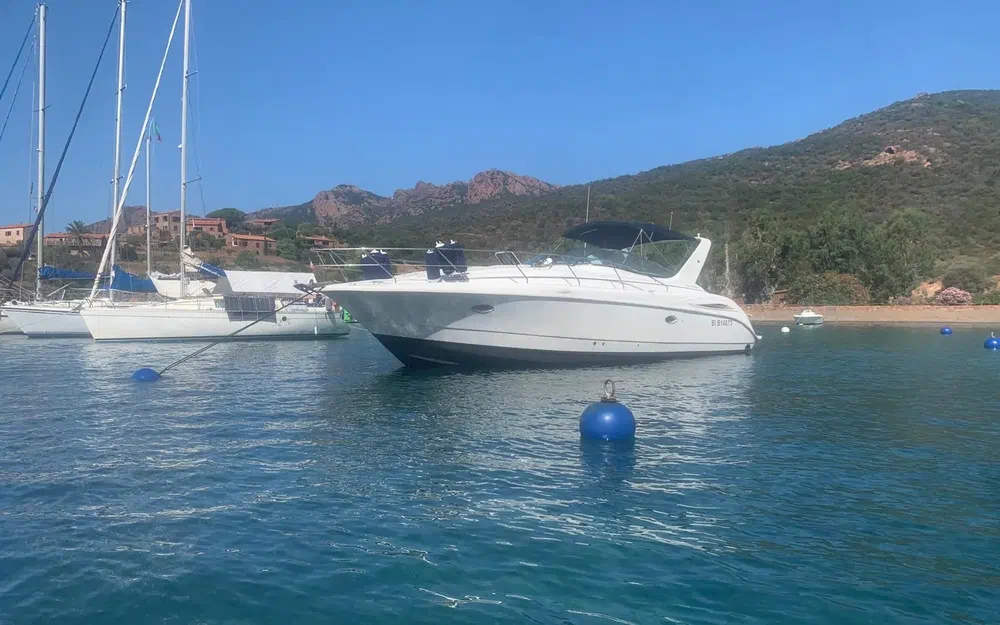 Silverton 360 · 1998 zu verkaufen – Côte d'Azur — Foto 9