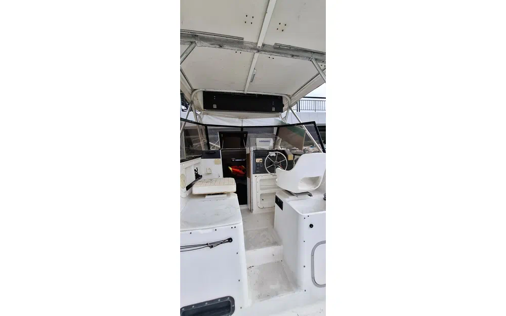 Bayliner Trophy 2502 · 1991 zu verkaufen – Côte d'Azur — Foto 10