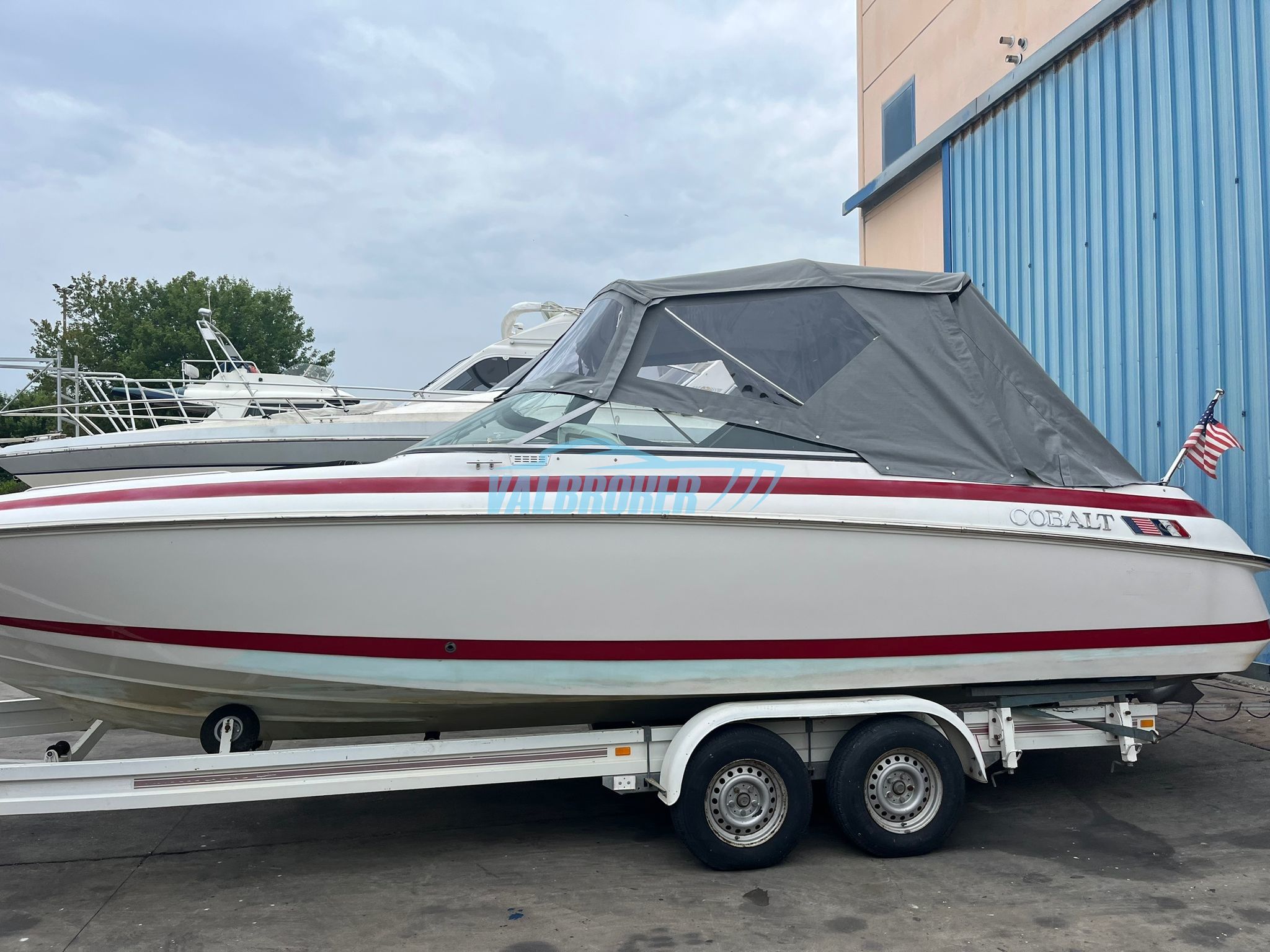 Cobalt 253 · 1999 en venta en Véneto y Adriático norte — foto 3