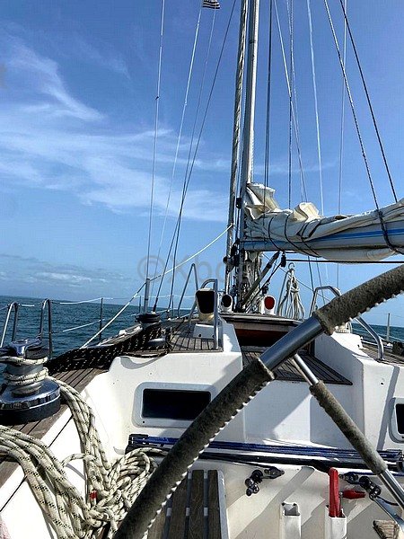 Wauquiez CENTURION 45 · 1991 en venta en Bretaña — foto 3