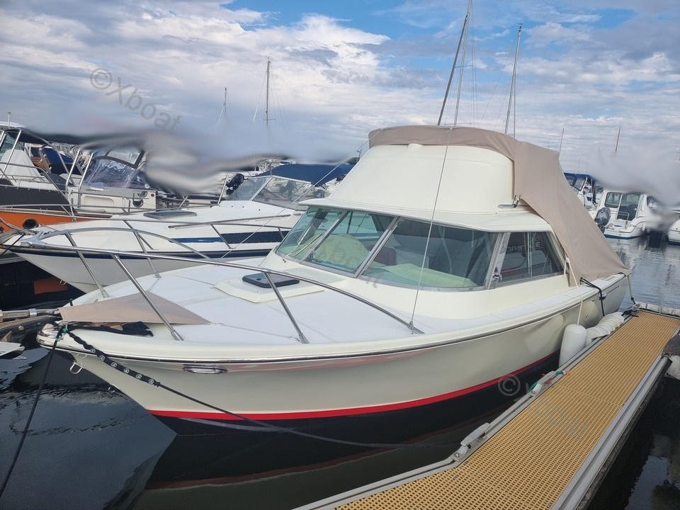 Riva Bertram 25 SPORT FISHERMAN · 1971 en venta en Otra zona — foto 4