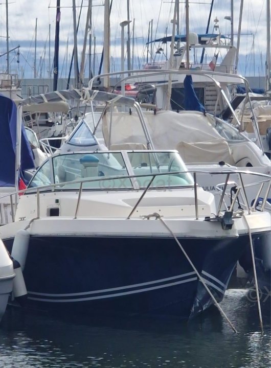 Kelt WHITE SHARK 237 · 1998 zu verkaufen – Côte d'Azur — Foto 1