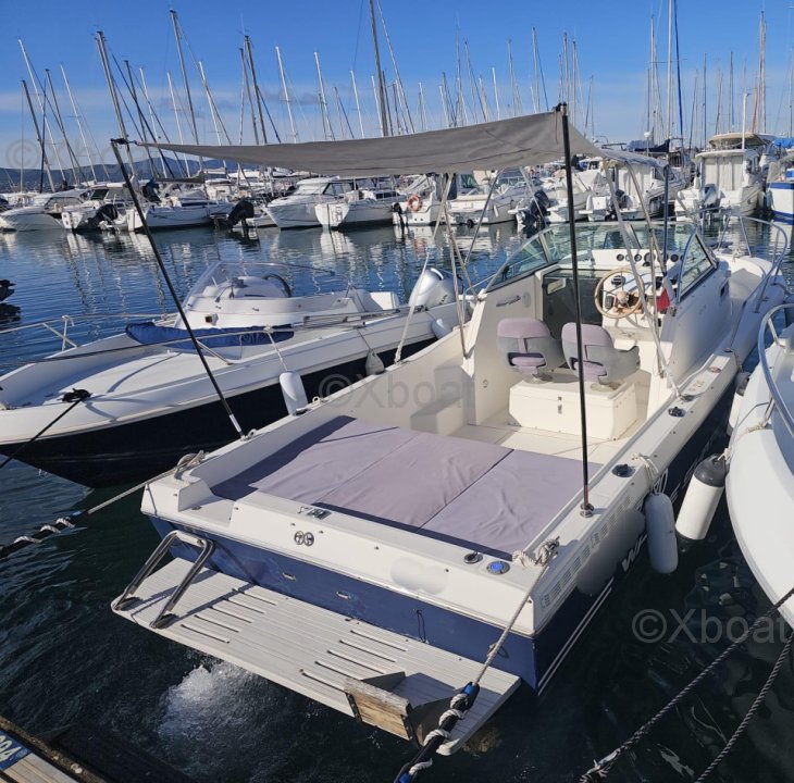 Kelt WHITE SHARK 237 · 1998 zu verkaufen – Côte d'Azur — Foto 2