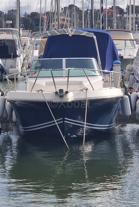Kelt WHITE SHARK 237 · 1998 zu verkaufen – Côte d'Azur — Foto 3