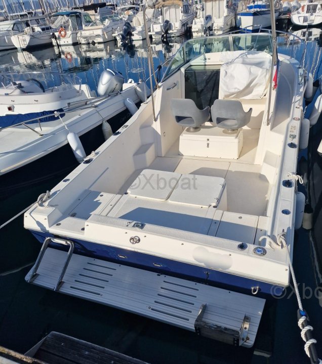 Kelt WHITE SHARK 237 · 1998 zu verkaufen – Côte d'Azur — Foto 4