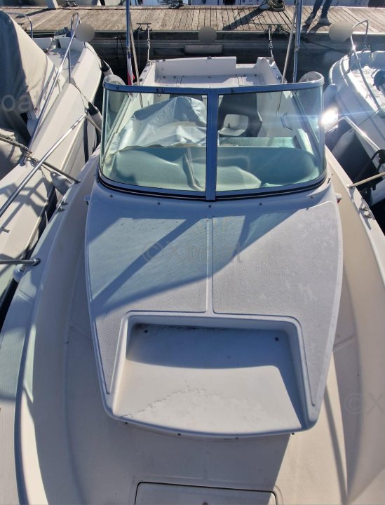 Kelt WHITE SHARK 237 · 1998 zu verkaufen – Côte d'Azur — Foto 6