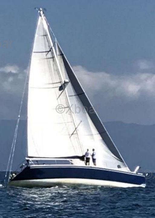 Coder Industries SHARK 50 · 1986 zu verkaufen – Côte d'Azur — Foto 4