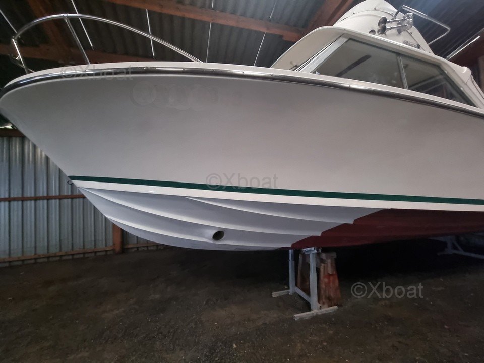 Bertram RIVA BERTRAM 25 SPORT FISHERMAN · 1970 en venta en Otra zona — foto 4
