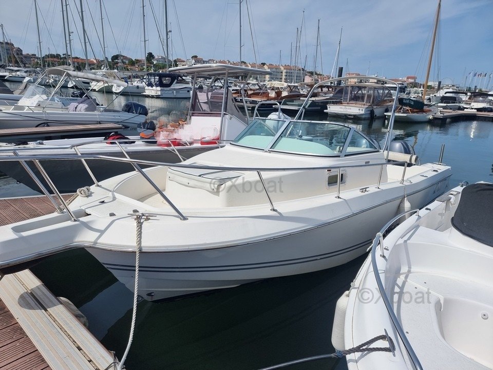 Kelt WHITE SHARK 236 · 2005 en venta en Otra zona — foto 1