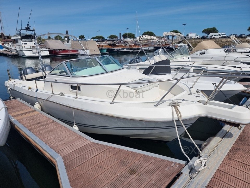 Kelt WHITE SHARK 236 · 2005 en venta en Otra zona — foto 2