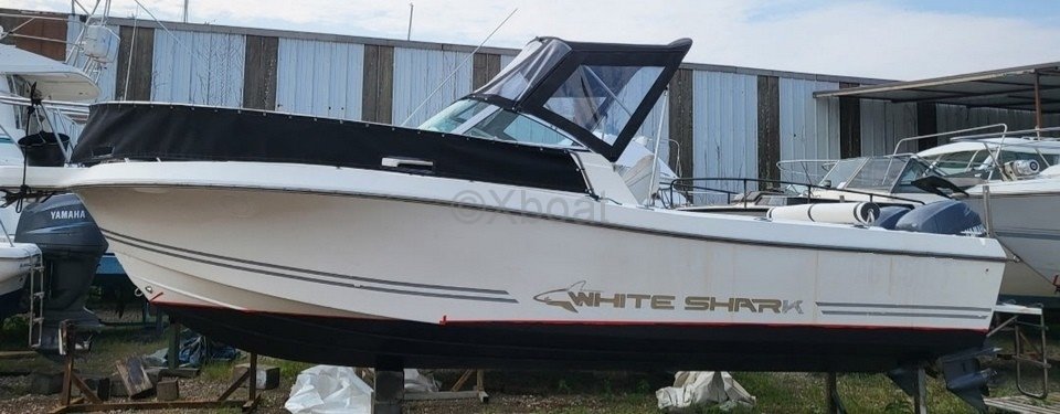 Kelt WHITE SHARK 236 · 2005 en venta en Otra zona — foto 5