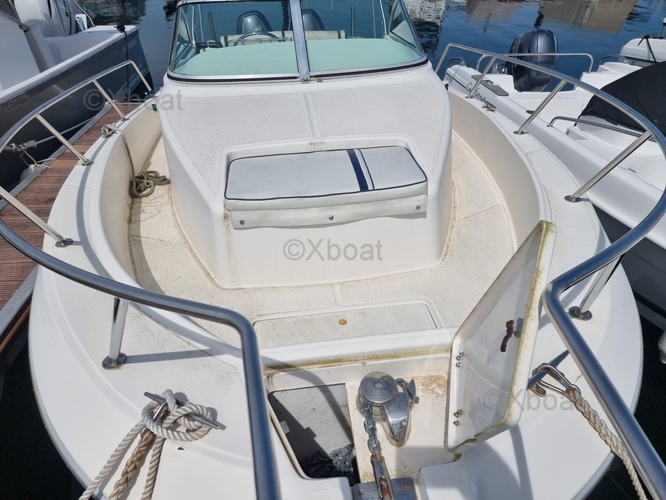 Kelt WHITE SHARK 236 · 2005 en venta en Otra zona — foto 7