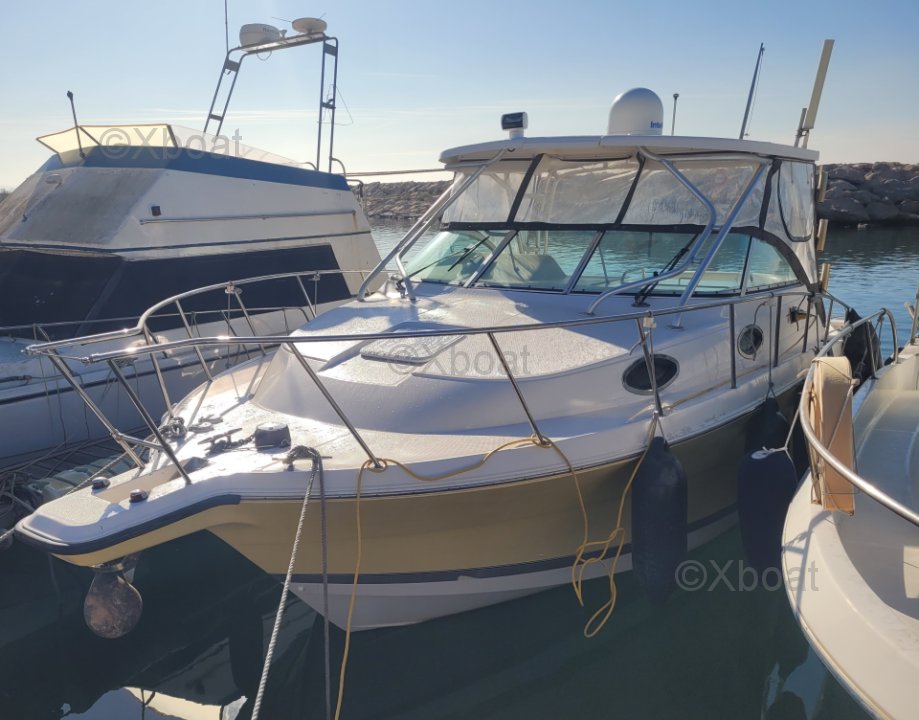 Wellcraft COASTAL 290 · 2005 zu verkaufen – Côte d'Azur — Foto 2