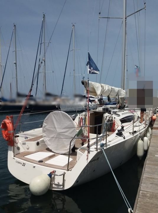 Cobra 33 · 2018 à vendre – Autre zone — photo 2