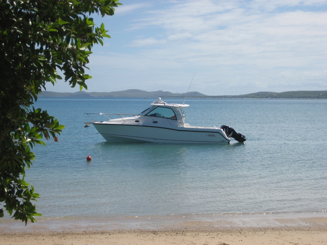 Boston Whaler 345 Conquest · 2008 zu verkaufen – Andere Region — Foto 7