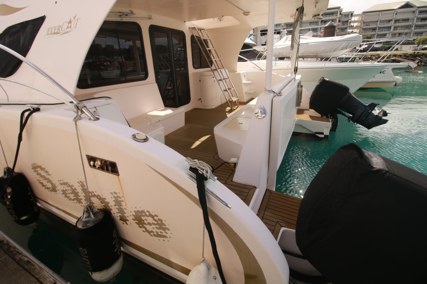 Evercat 39 · 2009 for sale in Other area — photo 9