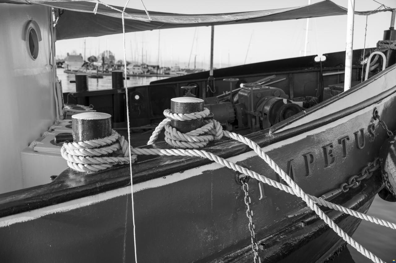 Impetus · 1958 en venta en Otra zona — foto 4